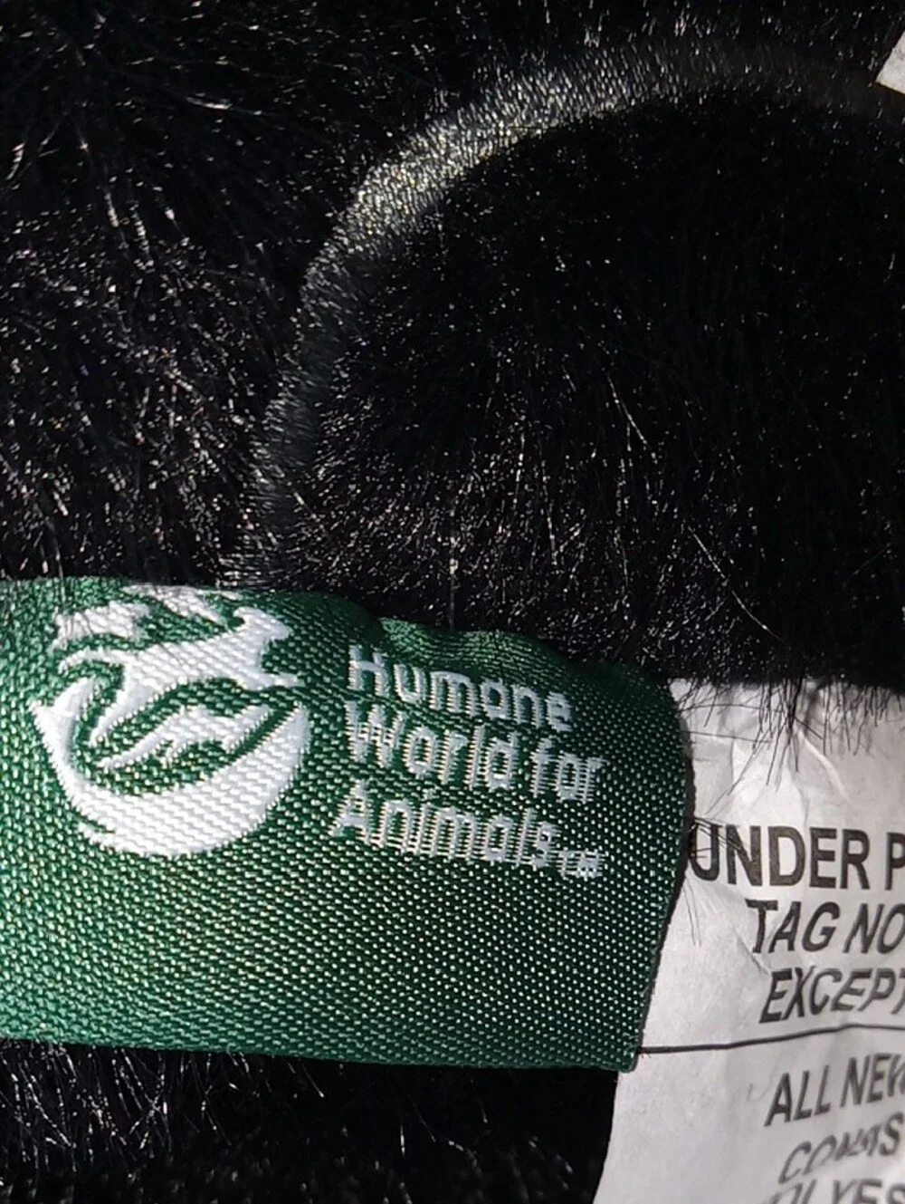 Humane World For Animals Cat Family.